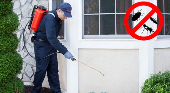 Susurluk Fare İlaçlama böcek ilaçlama ve haşere kontrolü — ilaclama-tr.com